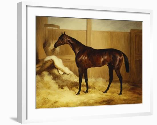 Mr. F.I. Popham's Brown Colt, 'Wild Dayrell' in a Loose Box-Thomas Barratt of Stockbridge-Framed Giclee Print