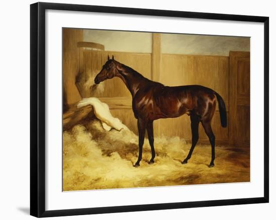 Mr. F.I. Popham's Brown Colt, 'Wild Dayrell' in a Loose Box-Thomas Barratt of Stockbridge-Framed Giclee Print