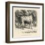 Mr. Fawdrys Dalmation Dog Captain-null-Framed Art Print