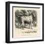 Mr. Fawdrys Dalmation Dog Captain-null-Framed Art Print