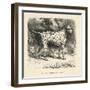 Mr. Fawdrys Dalmation Dog Captain-null-Framed Art Print