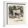 Mr. Fawdrys Dalmation Dog Captain-null-Framed Art Print