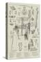Mr Flinders Petrie's Exhibition of Egyptian Antiquities-Norman Hardy-Stretched Canvas