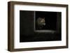 Mr Fox in farm house on dark background-Sue Demetriou-Framed Photographic Print