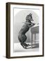 Mr Fox the Lawyer-H Planquet-Framed Art Print