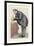Mr Frank Crisp, 1890-Spy-Framed Giclee Print