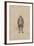 Mr Geoffrey Haredale, C.1920s-Joseph Clayton Clarke-Framed Giclee Print
