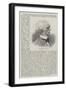 Mr George Wall-null-Framed Giclee Print