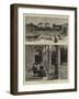 Mr Gladstone at Cannes-null-Framed Giclee Print