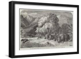 Mr Gordon Cumming's Lecture, Riding Out the Best Ivory-Elephant, Shooting from the Saddle-Harrison William Weir-Framed Giclee Print