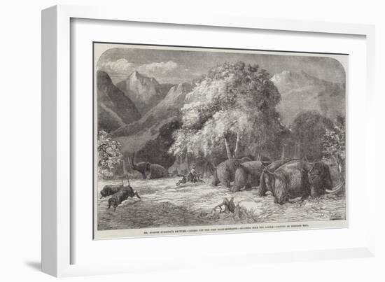 Mr Gordon Cumming's Lecture, Riding Out the Best Ivory-Elephant, Shooting from the Saddle-Harrison William Weir-Framed Giclee Print