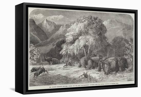Mr Gordon Cumming's Lecture, Riding Out the Best Ivory-Elephant, Shooting from the Saddle-Harrison William Weir-Framed Stretched Canvas