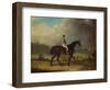 Mr. Hindley's Brown Filly 'Rosina' by 'Romulus' Ridden by the Owner on Lincoln Race Course-P. Ewbank-Framed Giclee Print