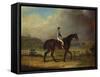 Mr. Hindley's Brown Filly 'Rosina' by 'Romulus' Ridden by the Owner on Lincoln Race Course-P. Ewbank-Framed Stretched Canvas