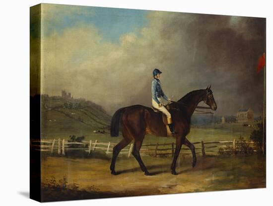 Mr. Hindley's Brown Filly 'Rosina' by 'Romulus' Ridden by the Owner on Lincoln Race Course-P. Ewbank-Stretched Canvas