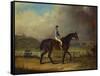 Mr. Hindley's Brown Filly 'Rosina' by 'Romulus' Ridden by the Owner on Lincoln Race Course-P. Ewbank-Framed Stretched Canvas