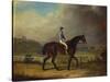 Mr. Hindley's Brown Filly 'Rosina' by 'Romulus' Ridden by the Owner on Lincoln Race Course-P. Ewbank-Stretched Canvas