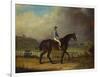 Mr. Hindley's Brown Filly 'Rosina' by 'Romulus' Ridden by the Owner on Lincoln Race Course-P. Ewbank-Framed Premium Giclee Print