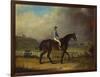 Mr. Hindley's Brown Filly 'Rosina' by 'Romulus' Ridden by the Owner on Lincoln Race Course-P. Ewbank-Framed Premium Giclee Print