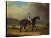 Mr. Hindley's Brown Filly 'Rosina' by 'Romulus' Ridden by the Owner on Lincoln Race Course-P. Ewbank-Stretched Canvas