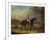 Mr. Hindley's Brown Filly 'Rosina' by 'Romulus' Ridden by the Owner on Lincoln Race Course-P. Ewbank-Framed Giclee Print