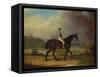 Mr. Hindley's Brown Filly 'Rosina' by 'Romulus' Ridden by the Owner on Lincoln Race Course-P. Ewbank-Framed Stretched Canvas