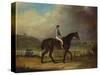 Mr. Hindley's Brown Filly 'Rosina' by 'Romulus' Ridden by the Owner on Lincoln Race Course-P. Ewbank-Stretched Canvas