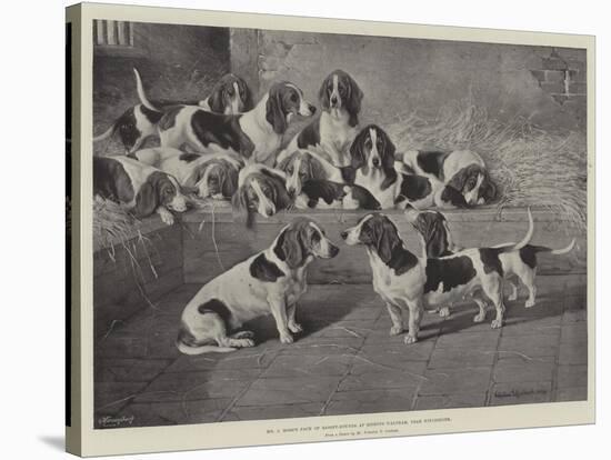 Mr J Moss's Pack of Basset-Hounds at Bishops Waltham, Near Winchester-Valentine Thomas Garland-Stretched Canvas