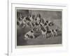 Mr J Moss's Pack of Basset-Hounds at Bishops Waltham, Near Winchester-Valentine Thomas Garland-Framed Giclee Print