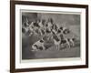 Mr J Moss's Pack of Basset-Hounds at Bishops Waltham, Near Winchester-Valentine Thomas Garland-Framed Giclee Print