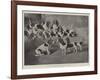 Mr J Moss's Pack of Basset-Hounds at Bishops Waltham, Near Winchester-Valentine Thomas Garland-Framed Giclee Print