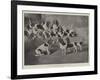 Mr J Moss's Pack of Basset-Hounds at Bishops Waltham, Near Winchester-Valentine Thomas Garland-Framed Giclee Print