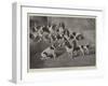 Mr J Moss's Pack of Basset-Hounds at Bishops Waltham, Near Winchester-Valentine Thomas Garland-Framed Giclee Print