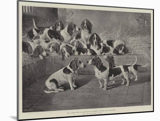 Mr J Moss's Pack of Basset-Hounds at Bishops Waltham, Near Winchester-Valentine Thomas Garland-Mounted Giclee Print