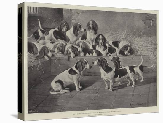 Mr J Moss's Pack of Basset-Hounds at Bishops Waltham, Near Winchester-Valentine Thomas Garland-Stretched Canvas