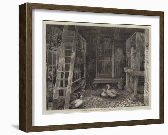 Mr Jamrach's Wild Beast Depot, Ratcliff Highway-null-Framed Giclee Print