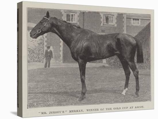 Mr Jersey'S Merman, Winner of the Gold Cup at Ascot-null-Stretched Canvas