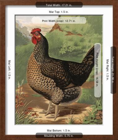 Mr. John Martin's Single Combed Dorking Hen' Premium Giclee Print - J. W.  Ludlow | AllPosters.com