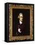 Mr. Joshua Henshaw Ii, C.1770-74-John Singleton Copley-Framed Stretched Canvas