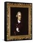 Mr. Joshua Henshaw Ii, C.1770-74-John Singleton Copley-Framed Stretched Canvas