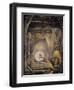 Mr Leafmould-Wayne Anderson-Framed Giclee Print