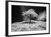 Mr Lonely-Michael de Guzman-Framed Photographic Print