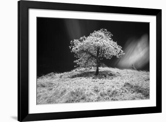 Mr Lonely-Michael de Guzman-Framed Photographic Print