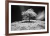 Mr Lonely-Michael de Guzman-Framed Photographic Print