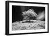 Mr Lonely-Michael de Guzman-Framed Photographic Print