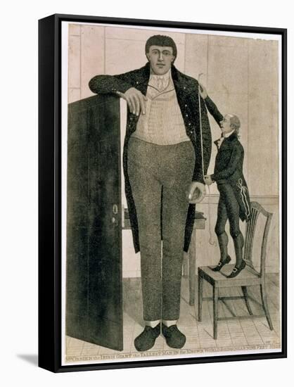Mr O'Brien, the Irish Giant, the Tallest Man in the known World Being Near Nine Feet High, 1803-John Kay-Framed Stretched Canvas