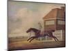 'Mr. Ogilvy's Bay Racehorse Trentham at Newmarket with Jockey up', 1771-George Stubbs-Mounted Giclee Print