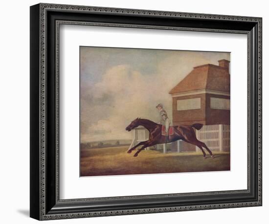 'Mr. Ogilvy's Bay Racehorse Trentham at Newmarket with Jockey up', 1771-George Stubbs-Framed Giclee Print