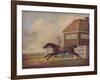 'Mr. Ogilvy's Bay Racehorse Trentham at Newmarket with Jockey up', 1771-George Stubbs-Framed Giclee Print