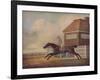 'Mr. Ogilvy's Bay Racehorse Trentham at Newmarket with Jockey up', 1771-George Stubbs-Framed Giclee Print